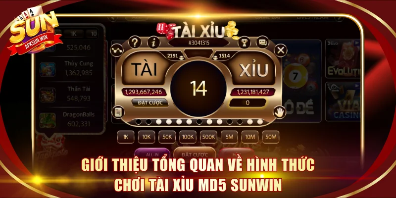 Giới thiệu tổng quan về hình thức chơi tài xỉu MD5 Sunwin
